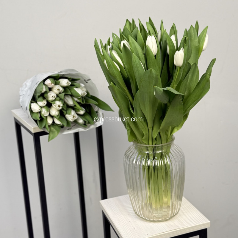 Тюльпаны белые 25 штук