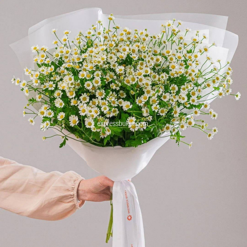 Букет из танацетума