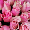Розово-оливковые Розы Кения 21 шт